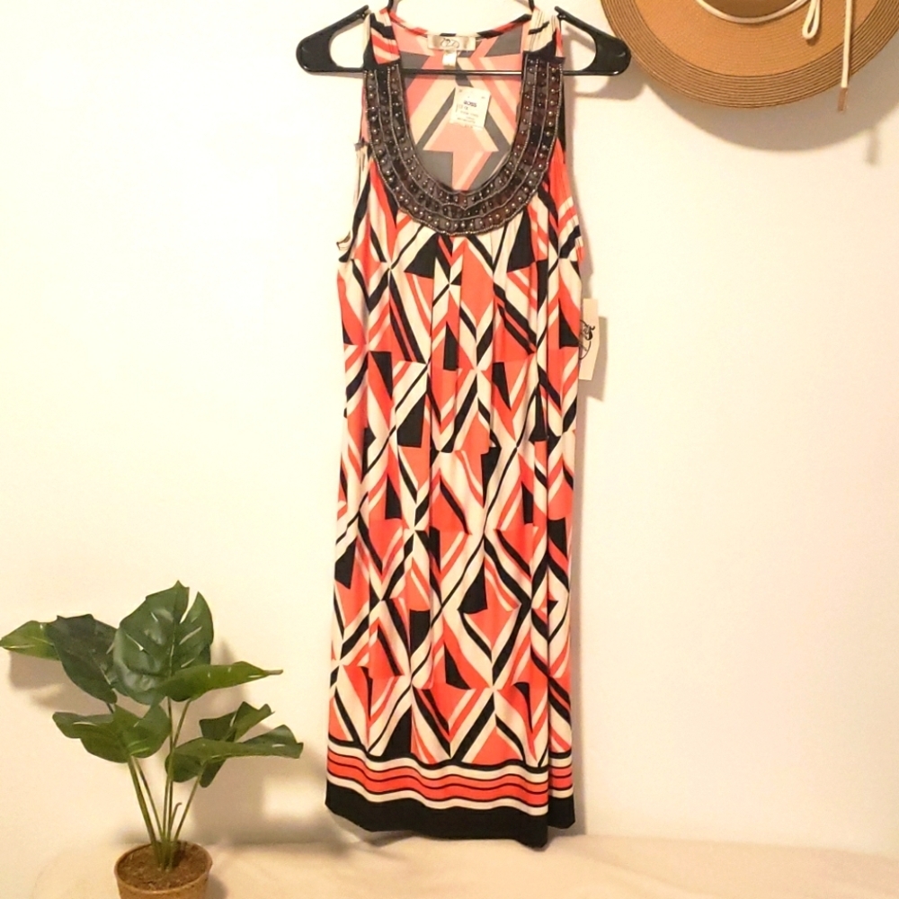 Cute Plus Size Dress 1X